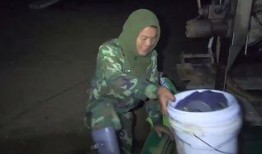 爆料老四赶海的视频,探寻海洋宝藏的神秘之旅