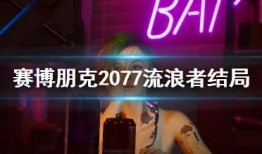 流浪者爆料演示视频下载,下载背后的真相与挑战